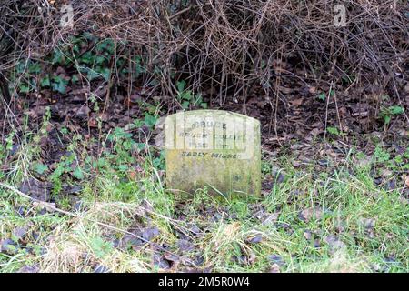 Piccolo lapide del 1970s che commemora un amato animale domestico, nel cimitero degli animali domestici nel parco pubblico di Jesmond Dene, Newcastle upon Tyne, Regno Unito. Foto Stock