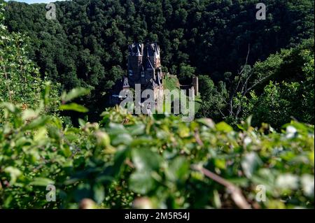 Una vista panoramica del castello di Eltz (in tedesco: Burg Eltz) circondato da fitte foreste a Treviri, Germania Foto Stock