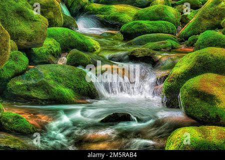 Un torrente di montagna bolle e scorre attraverso un labirinto di massi ricoperti di muschio delle Smoky Mountains. Foto Stock