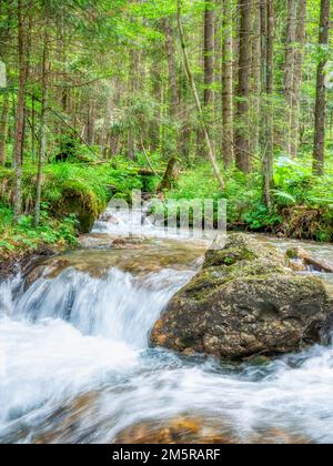 Ruscello che scorre uniformemente tra le rocce e le foglie verdi nella foresta. Foto Stock