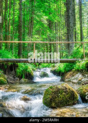 Ruscello che scorre uniformemente tra le rocce e le foglie verdi nella foresta. Foto Stock