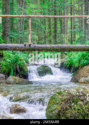 Ruscello che scorre uniformemente tra le rocce e le foglie verdi nella foresta. Foto Stock