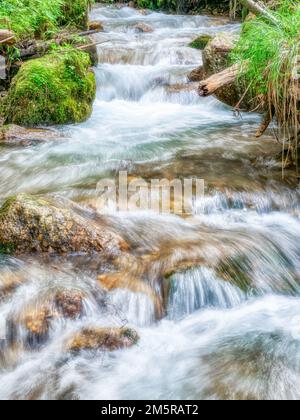Ruscello che scorre uniformemente tra le rocce e le foglie verdi nella foresta. Foto Stock