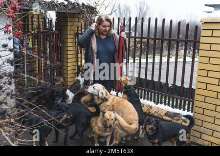 Il proprietario del ricovero del cane - donna caucasica di mezza età vestita in cappotto caldo - tiene i guinzagli rossi ed è circondato dai cani di miscela-razza eccitati. Camminata volontaria del cane. Foto di alta qualità Foto Stock