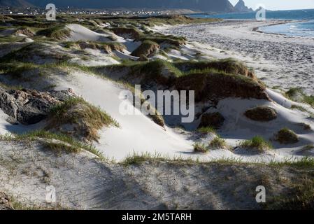 Andøya è un'isola di Vesterålen coperta di paludi e tundra artuc nel suo centro e massi lungo la costa. Foto Stock