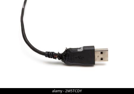 Cavo usb nero danneggiato, ammaccato e masticato da un cane, vista in primo piano Foto Stock