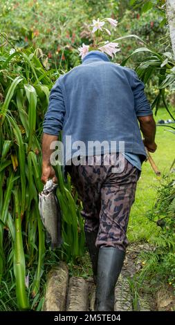 pescatore di trota che ha pesce e pronto per preparare e pulire il pesce Foto Stock