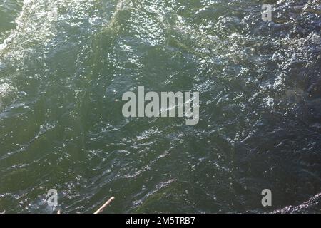 Superficie dell'acqua di mare con schiuma bianca e struttura ondulata per lo sfondo Foto Stock