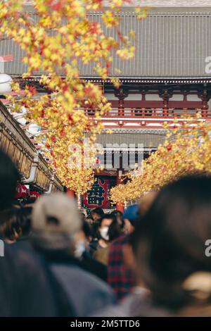 Folle di persone al Tempio di Sensoji, Asakusa Foto Stock