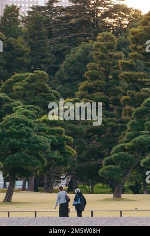 Due signore passeggiate nel parco Foto Stock