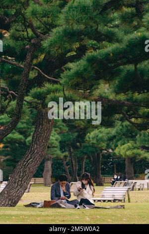 Una coppia giapponese che fa un picnic nel parco Foto Stock
