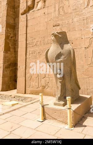 Edfu, Egitto; 29 dicembre 2022 - Statua di Horus a Edfu, Egitto. Foto Stock