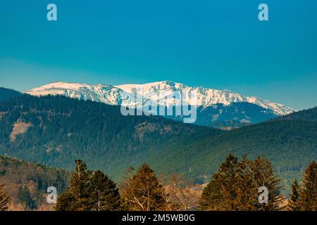 Schneeberg, montagna, Alpi, gruppo Rax-Schneeberg, bassa Austria, Austria Foto Stock