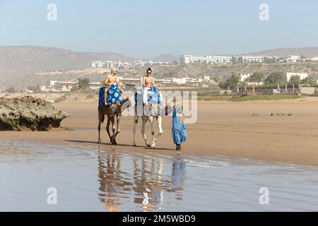 Due persone in sella a cammelli sulla spiaggia sabbiosa a Taghazout, Marocco, Nord Africa Foto Stock