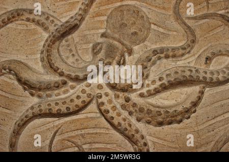 Octopus Stone Carving nel Museo di Storia Naturale di Londra Foto Stock