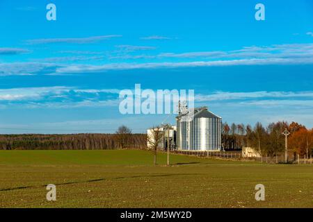 Elevatore granaio per il deposito di grano, prodotti agricoli, farina, cereali e cereali. Foto Stock