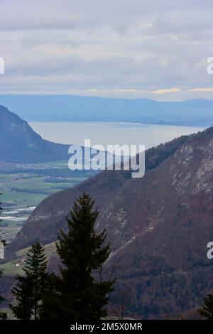 Lago di Ginevra visto dal villaggio di Les Ecovets sopra Villars sur Ollon in Svizzera. Foto Stock