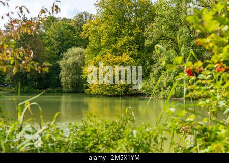 Paesaggio autunnale sul lago Hinterbruehl a Monaco di Baviera Foto Stock