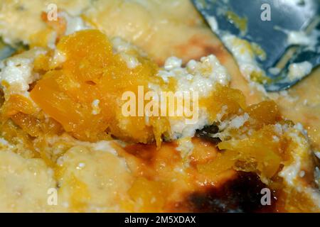 La zucca, la zucca o la zucca, la zucca, è un genere di frutti erbacei della famiglia delle zucche, le Cucurbitacee, la zucca bianca Foto Stock