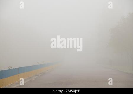 Ringhiere giallo-blu lungo la strada al mattino nella nebbia in Ucraina nel parco Foto Stock