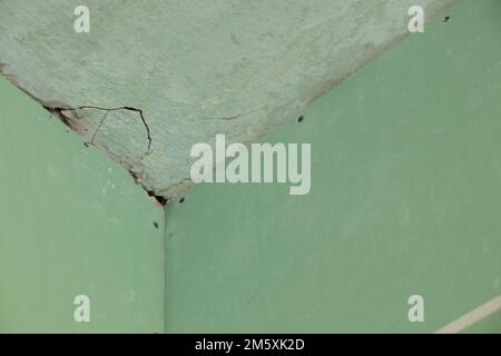 parete in cartongesso verde in una stanza durante la ristrutturazione, ristrutturazione di un appartamento, cartongesso come sfondo, ristrutturazione in un appartamento Foto Stock