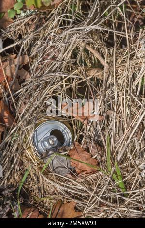 La bevanda analcolica vuota o la birra possono essere scartate tra le erbe lunghe di un'erba di strada di campagna o di una sponda di siepi. Per rifiuti da imballaggio alimentare. Foto Stock