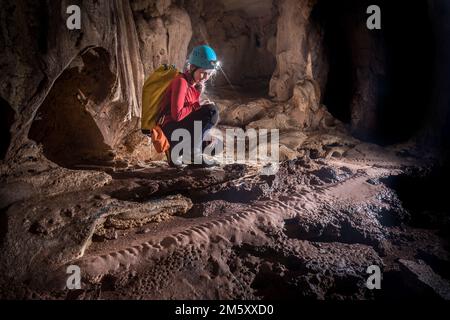 Piste di serpente in Fruit Bat Cave, Mulu, Sarawak, Malesia Foto Stock