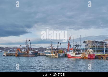 Le barche da pesca sono legate al molo vicino al Joan Harriss Cruise Pavillion sul lungomare di Sydney Nova Scotia. Foto Stock