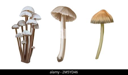Impostare Acquerello funghi piccoli. Funghi velenosi realistici. illustrazione botanica Foto Stock