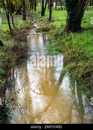 piccolo fiume in natura traboccato dalle piogge autunnali. Concetto di cambiamento climatico Foto Stock