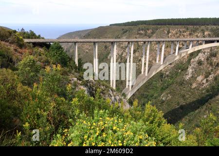 Una splendida vista sul ponte sul fiume Bloukrans sulla Garden Route in Sud Africa. Il punto più alto al mondo per il bungee jumping Foto Stock