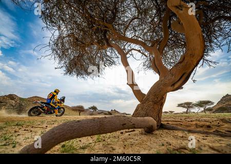 12 MICHEK Martin (cze), Orion - Moto Racing Group, KTM, Moto, azione durante la fase 1 della Dakar 2023 intorno a Sea Camp, il 1st gennaio 2023 vicino a Yanbu, Arabia Saudita - Foto Florent Gooden / DPPI Foto Stock