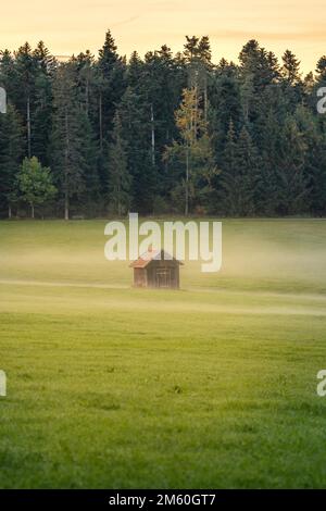 Solitaria capanna nella nebbia in un prato, Foresta Nera, Germania Foto Stock