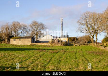 Dicembre 2022 luce solare invernale leggera su edifici e fienile fattoria in un cantiere agricolo locale vicino a Dundonald nella contea di Down Irlanda del Nord Foto Stock