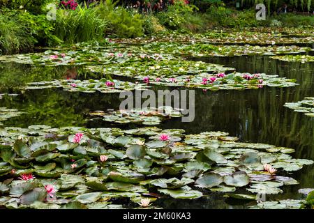 Laghetto di ninfee in fiore, Giardino Claude Monet, Giverny, Dipartimento Eure, alta Normandia, Francia Foto Stock