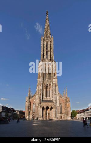 Cattedrale di Ulm Germania Foto Stock