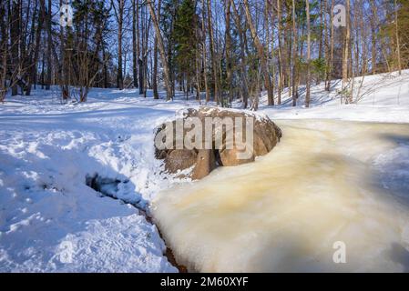 PETERHOF, RUSSIA - 05 MARZO 2018: Scultura congelata 'testa' (scultura alla fonte', XVIII - inizio XIX secolo) di uno scultore sconosciuto nel parco o Foto Stock