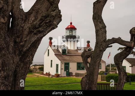 Point Pinos Lighthouse nel Pacifico un boschetto, California Foto Stock
