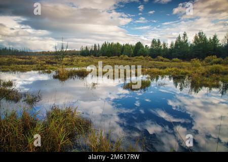 Cielo blu e nuvole riflesse nel fiume Miners vicino a Munising, Michigan Foto Stock