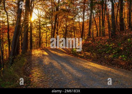 Il sole splende attraverso la foresta autunnale nel Great Smoky Mountain National Park del Tennessee Foto Stock