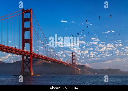Vista mattutina del Golden Gate Bridge dal Presidio di San Francisco Foto Stock