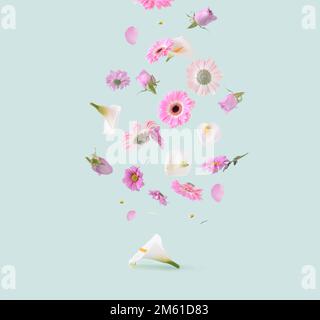 Splendidi fiori rosa, viola e bianchi su sfondo verde pastello. Primavera pastello Flying flowers concetto estetico. Gerbera, rosa, calla lilly e. Foto Stock