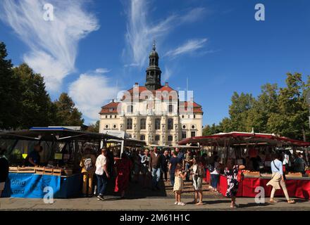 Mercato settimanale nella piazza del mercato di fronte al municipio, Lueneburg, Lüneburg, bassa Sassonia, Germania Foto Stock