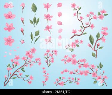 Un'illustrazione dei fiori rosa bei del ciliegio su uno sfondo blu Illustrazione Vettoriale