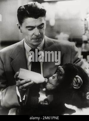 Stella del film (futuro presidente degli Stati Uniti) Ronald Reagan - ora di andare a letto per Bonzo (1951) foto pubblicitaria. Foto Stock