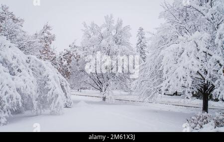 la caduta di neve pesante genera un paese delle meraviglie di inverno Foto Stock