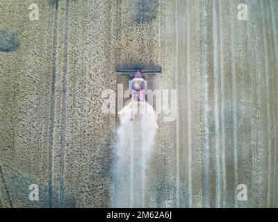 Vista aerea della macchina trebbiatrice che lavora nel campo con prodotti e linee di prodotto del grano. Victoria, Australia. Foto Stock