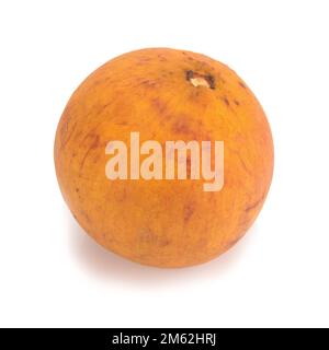 Frutta di Santol isolata su sfondo bianco. Foto Stock