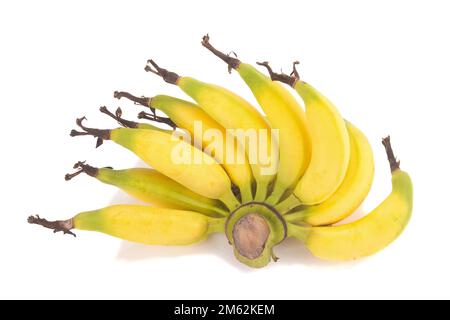 Banana Lebmuernang isolata su sfondo bianco. Foto Stock