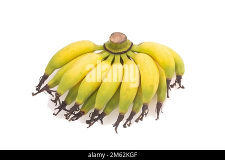 Banana Lebmuernang isolata su sfondo bianco. Foto Stock